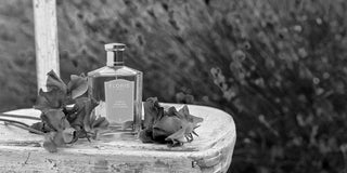 Floris London: Tres Siglos de Arte, Nobleza y Perfume - Parfumerie d'Aquitaine