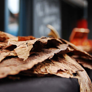 Amaderada seca - Cuero - Parfumerie d'Aquitaine