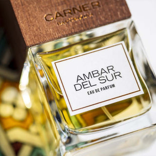 Carner Barcelona - Ámbar del Sur - Parfumerie d'Aquitaine