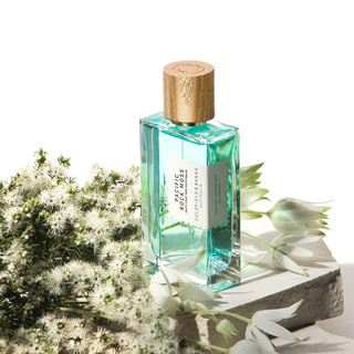 Goldfield & Banks - Pacific Rock Moss - Parfumerie d'Aquitaine