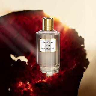 Mancera - Fig Extasy - Parfumerie d'Aquitaine