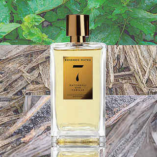 Rosendo Mateu - 7 - Parfumerie d'Aquitaine