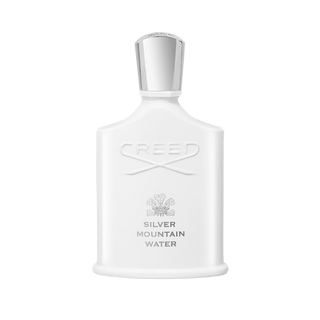 Silver Mountain Water