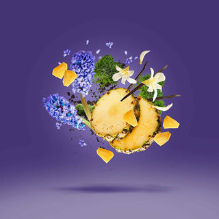 Xerjoff - Accento - Parfumerie d'Aquitaine