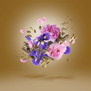 Xerjoff - Alexandria II Anniversary - Parfumerie d'Aquitaine