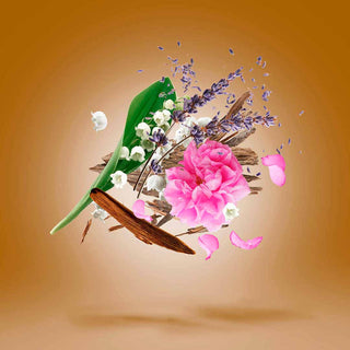 Xerjoff - Alexandria II - Attar Oil - Parfumerie d'Aquitaine