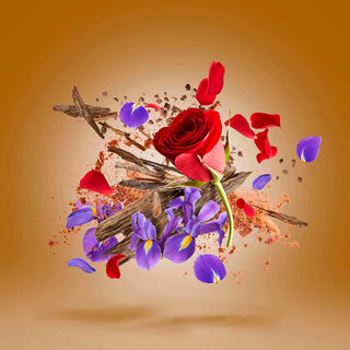 Xerjoff - Alexandria Orientale - Parfumerie d'Aquitaine