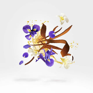 Xerjoff - Aqua Regia - Parfumerie d'Aquitaine