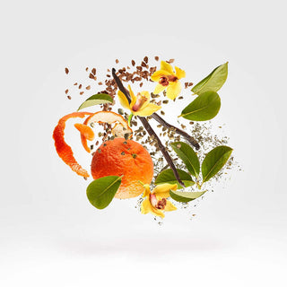 Xerjoff - Decas - Parfumerie d'Aquitaine