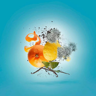 Xerjoff - Erba Pura - Parfumerie d'Aquitaine