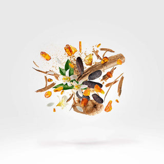 Xerjoff - Kobe - Parfumerie d'Aquitaine