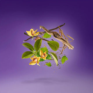 Xerjoff - Laylati - Parfumerie d'Aquitaine