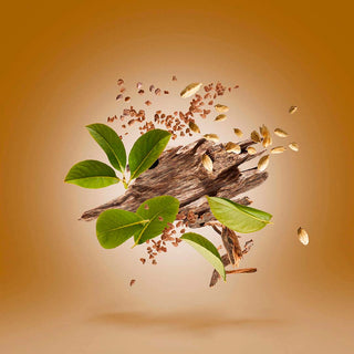 Xerjoff - Luxor - Parfumerie d'Aquitaine