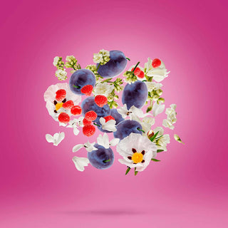 Xerjoff - Muse - Parfumerie d'Aquitaine