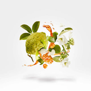 Xerjoff - Naxos - Parfumerie d'Aquitaine