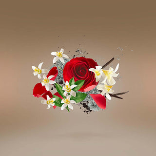 Xerjoff - Pikovaya Dama - Parfumerie d'Aquitaine