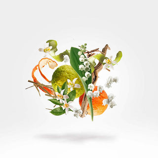 Xerjoff - Renaissance - Parfumerie d'Aquitaine