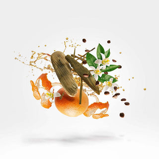 Xerjoff - Uden - Parfumerie d'Aquitaine