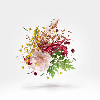 Xerjoff - Zefiro - Parfumerie d'Aquitaine