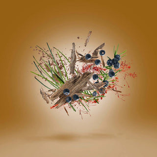 Xerjoff - Gao - Parfumerie d'Aquitaine